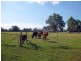 Lovedale NSW 2325