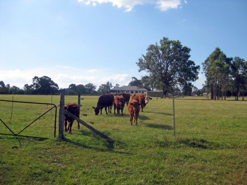 Lovedale NSW 2325