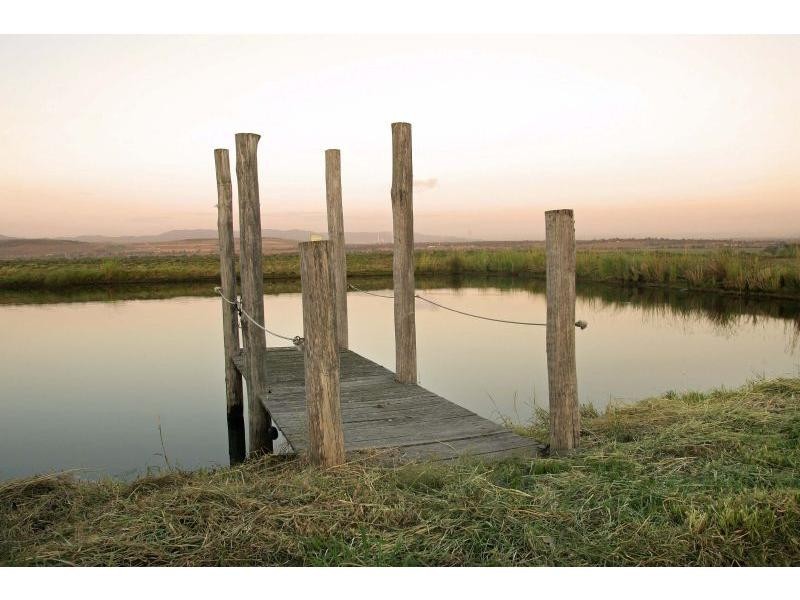 42 Trefolly Road, Singleton NSW 2330