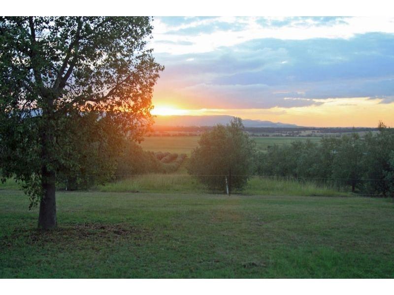 42 Trefolly Road, Singleton NSW 2330