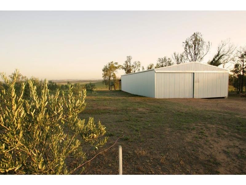 42 Trefolly Road, Singleton NSW 2330