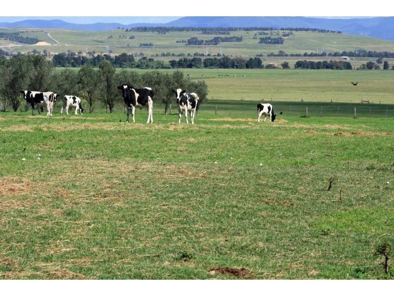 42 Trefolly Road, Singleton NSW 2330