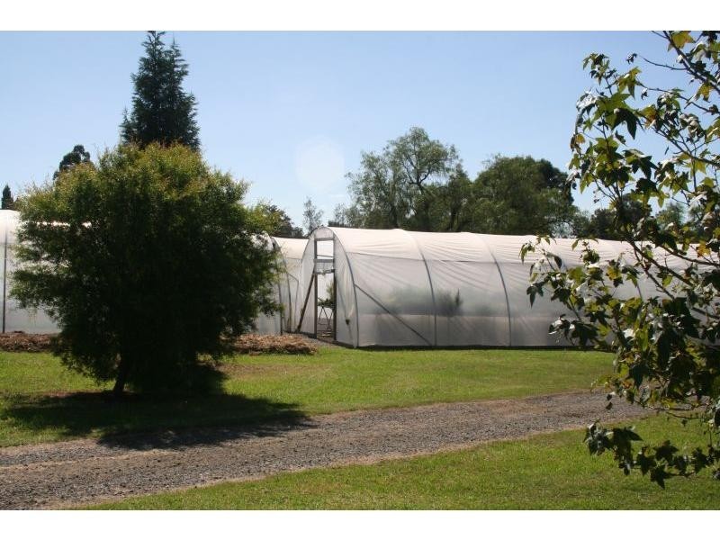 5 Ridley Street, Abermain NSW 2326