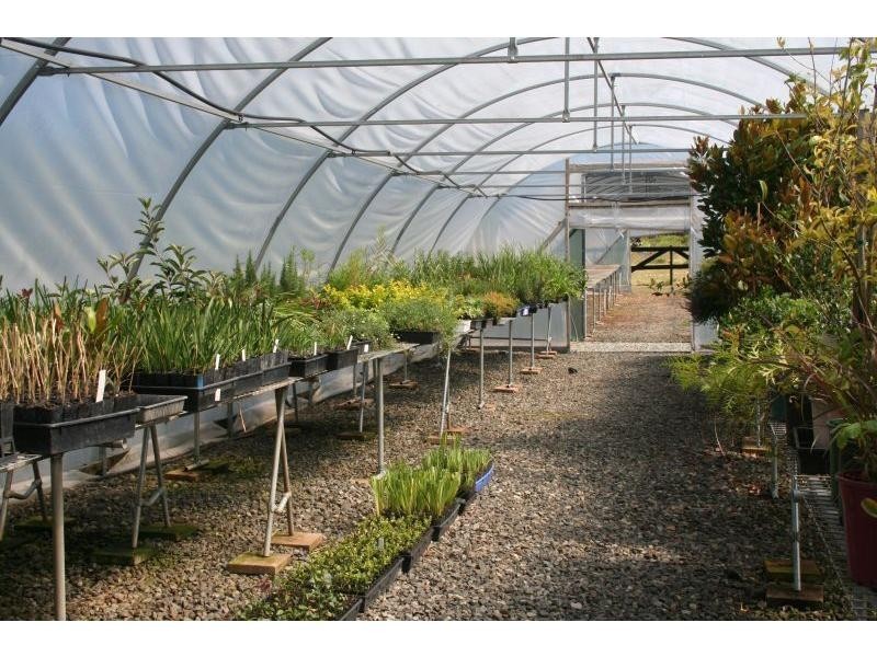 5 Ridley Street, Abermain NSW 2326