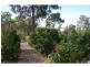 6 Grey Gum Drive, Weston NSW 2326