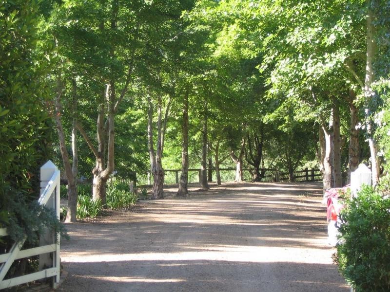 1402 Leggetts Drive, Brunkerville NSW 2323