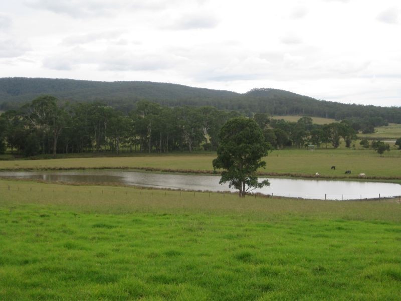 1350 Wollombi Road, Millfield NSW 2325