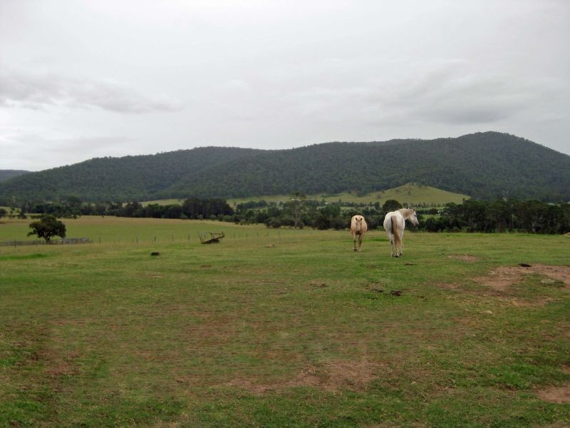 1350 Wollombi Road, Millfield NSW 2325