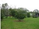 1350 Wollombi Road, Millfield NSW 2325