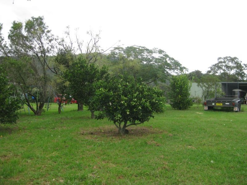 1350 Wollombi Road, Millfield NSW 2325