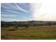 Lot 132 Portion 7 & 8, Mount Vincent Road, Mulbring NSW 2323