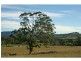 Lot 132 Portion 7 & 8, Mount Vincent Road, Mulbring NSW 2323