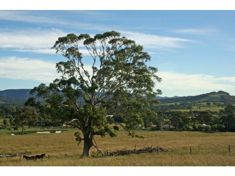 Lot 132 Portion 7 & 8, Mount Vincent Road, Mulbring NSW 2323