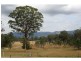 Lot 401 336, Old North Road, Pokolbin NSW 2320