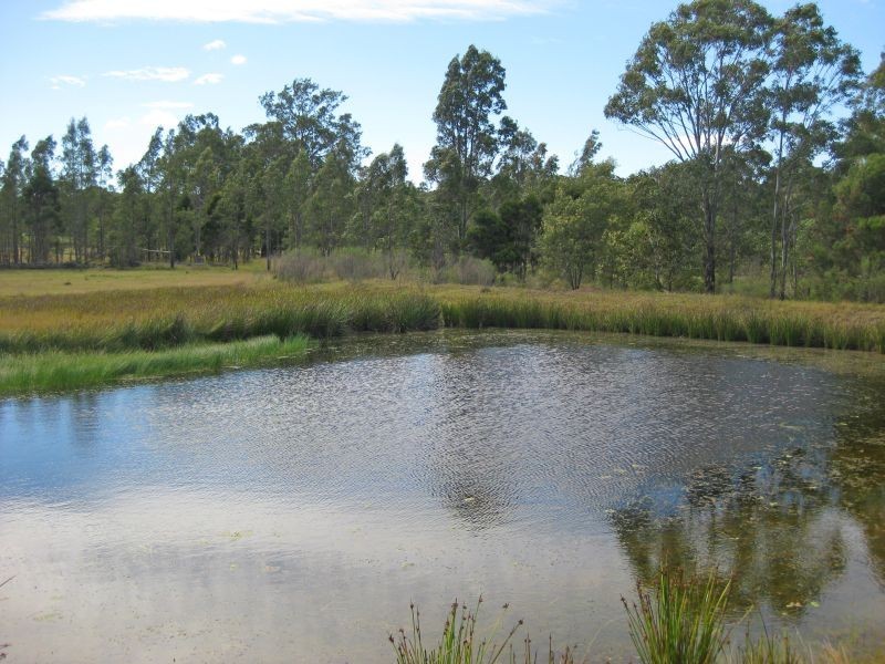 85 Old North Road, Lochinvar NSW 2321