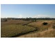 636 Standen Drive, Lower Belford NSW 2335