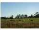 636 Standen Drive, Lower Belford NSW 2335