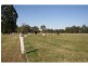 113 Quorrobolong Road, Cessnock NSW 2325