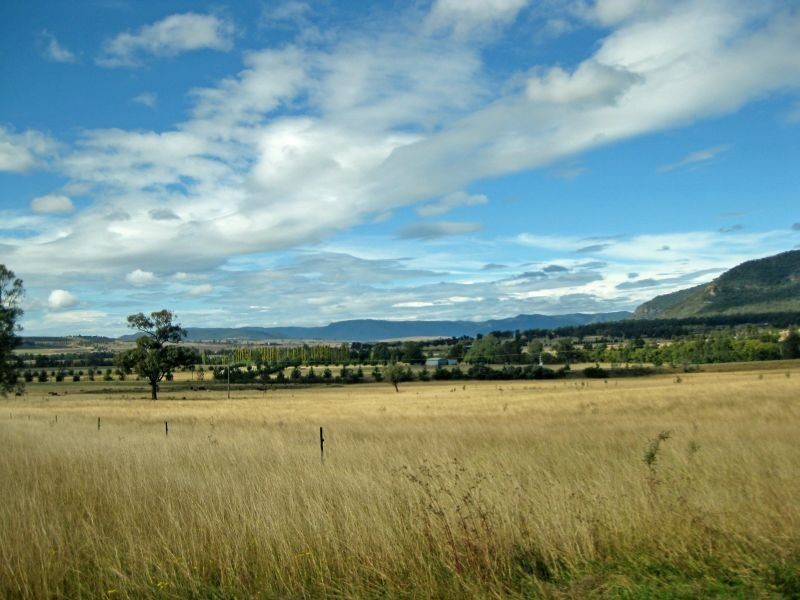 Lot 102 Cnr Putty Road & Thompsons Road, Milbrodale NSW 2330