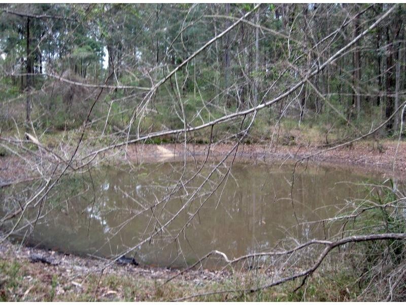 1631 Old Maitland Road, Sawyers Gully NSW 2326