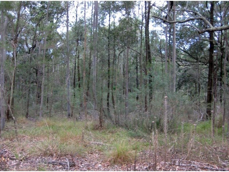 1631 Old Maitland Road, Sawyers Gully NSW 2326