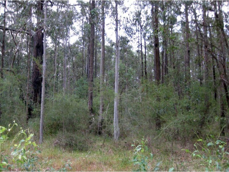 1631 Old Maitland Road, Sawyers Gully NSW 2326