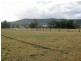 Lot 313 Harrowby Street, Broke NSW 2330