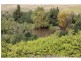 Lot 4 Davrons Hill Estate, Luskintyre NSW 2321