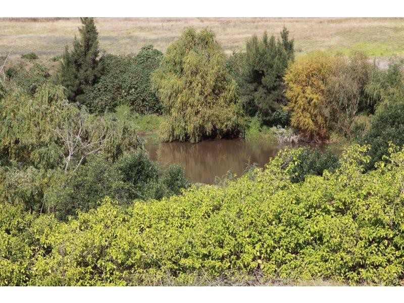 Lot 4 Davrons Hill Estate, Luskintyre NSW 2321