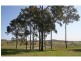 Lot 1 Oakey Creek Road, Pokolbin NSW 2320