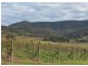 Lot 1 Oakey Creek Road, Pokolbin NSW 2320