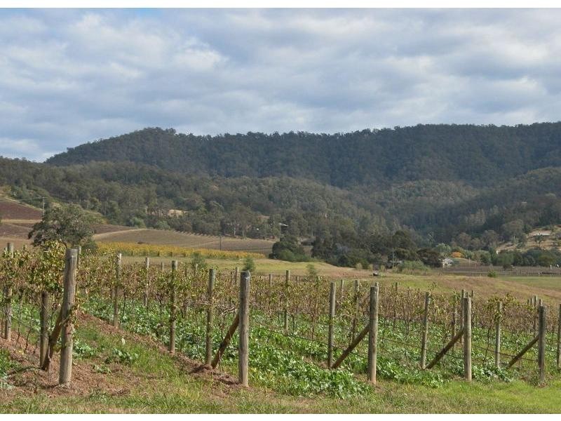 Lot 1 Oakey Creek Road, Pokolbin NSW 2320