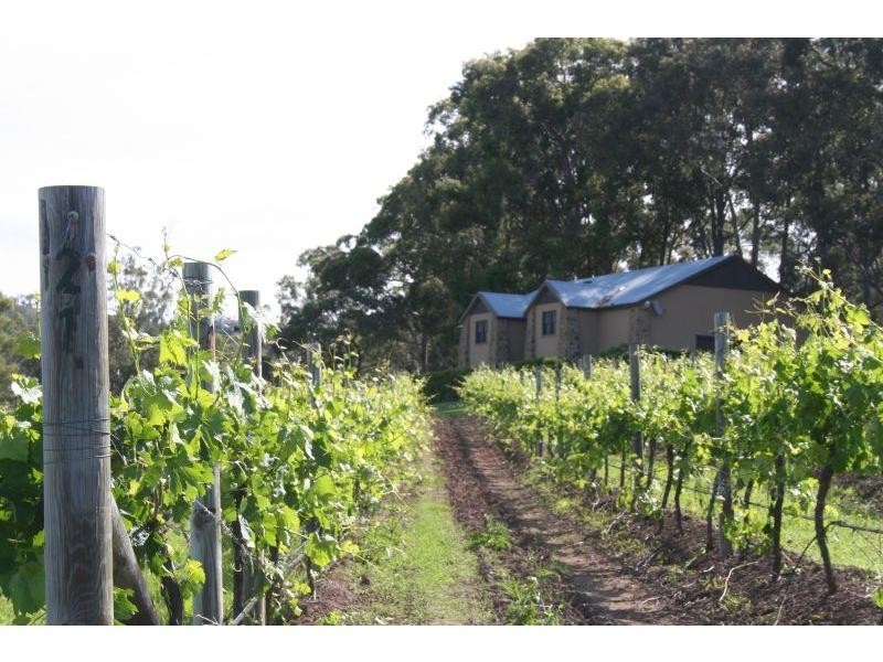 Lot 1 Oakey Creek Road, Pokolbin NSW 2320