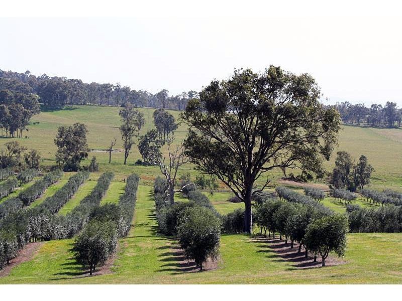 Lot 1 Oakey Creek Road, Pokolbin NSW 2320