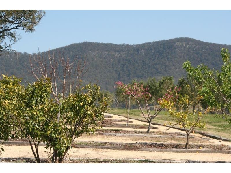 Lot 1 Oakey Creek Road, Pokolbin NSW 2320
