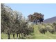 Lot 1 Oakey Creek Road, Pokolbin NSW 2320