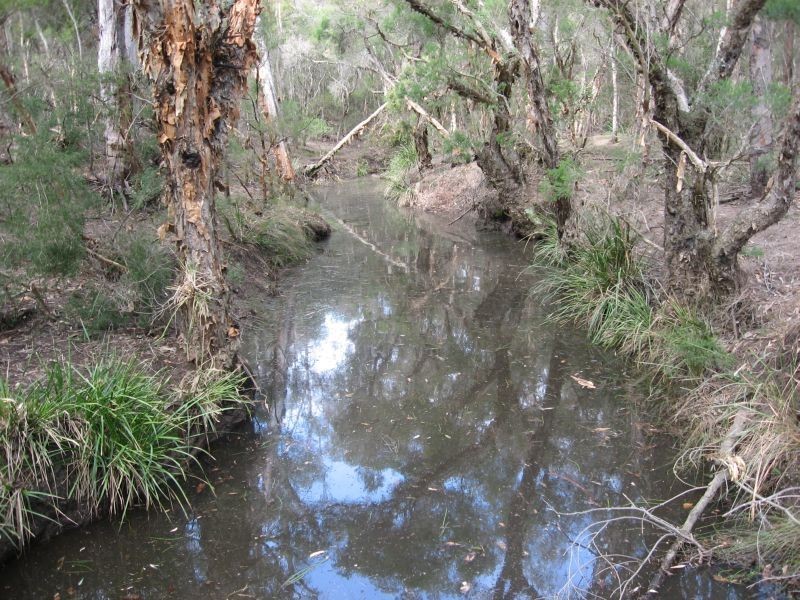 Lot 11 Lodge Road, Lovedale NSW 2325