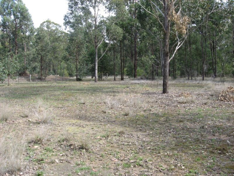 Lot 11 Lodge Road, Lovedale NSW 2325