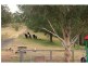 196 Rodney Road, Mount Vincent NSW 2323