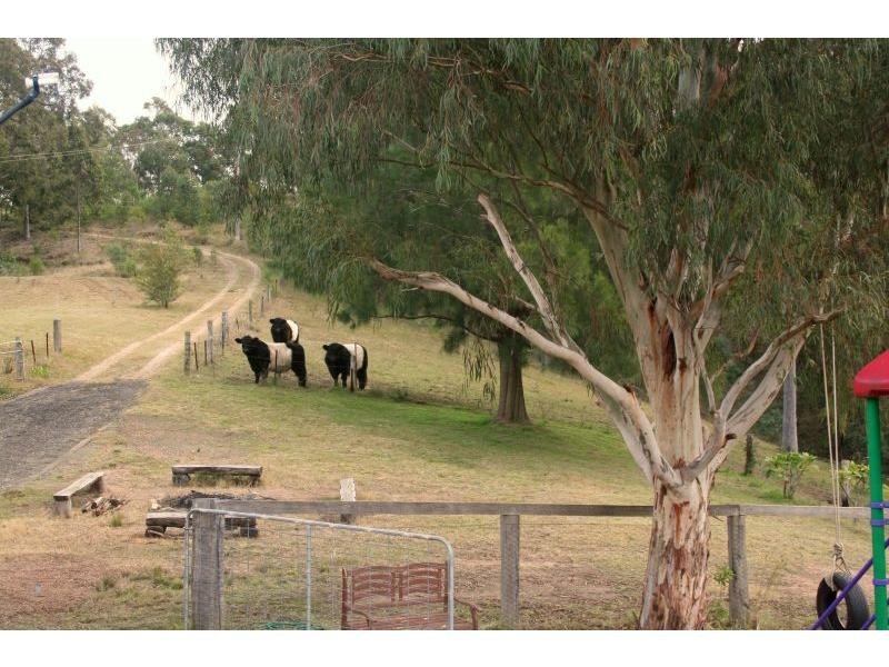 196 Rodney Road, Mount Vincent NSW 2323
