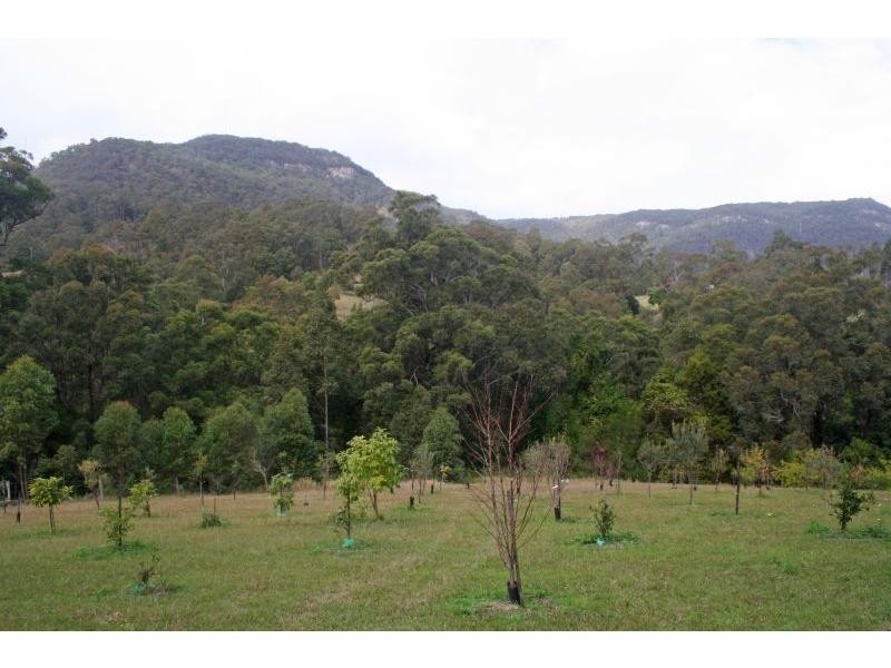 196 Rodney Road, Mount Vincent NSW 2323