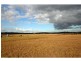 72 Wine Country Drive, Nulkaba NSW 2325