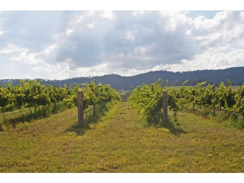 Lot 1 Mount View Road, Mount View NSW 2325