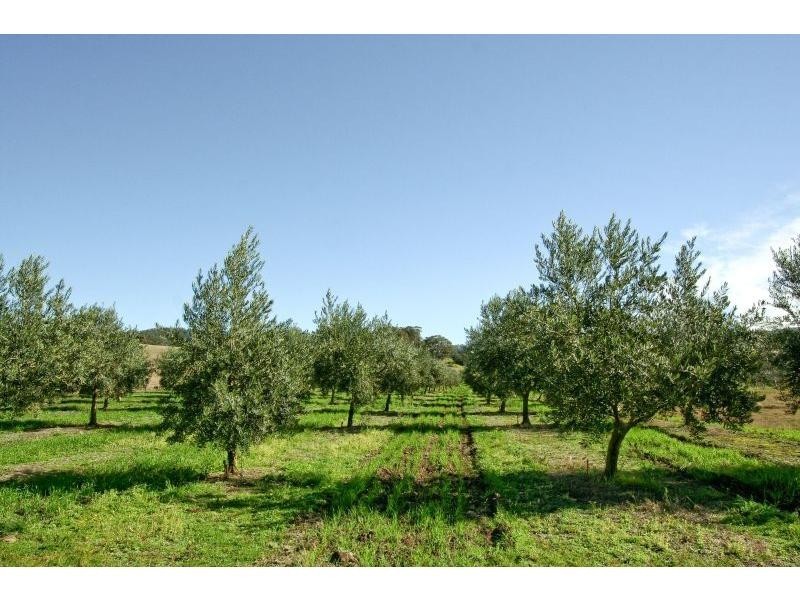 Lot 1 Mount View Road, Mount View NSW 2325