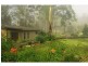 Wollombi NSW 2325