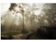 Wollombi NSW 2325