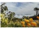 Wollombi NSW 2325