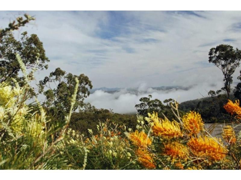 Wollombi NSW 2325