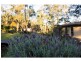 Wollombi NSW 2325