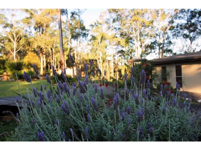 Wollombi NSW 2325